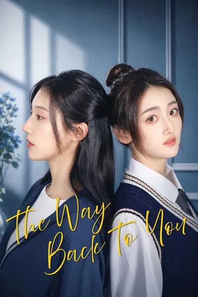 The Way Back to You poster