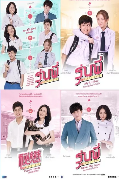 Senior Secret Love: Puppy Honey poster