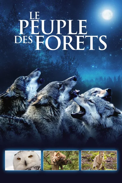 The Forest Kingdom poster