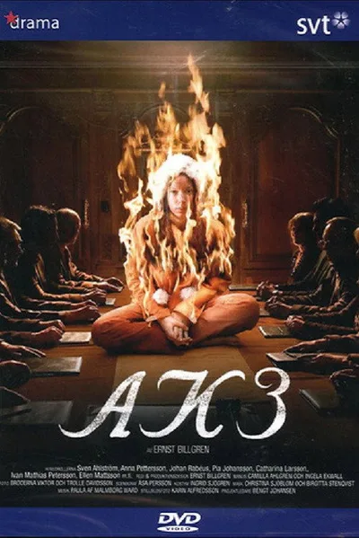 AK3 - Dolda beslut poster