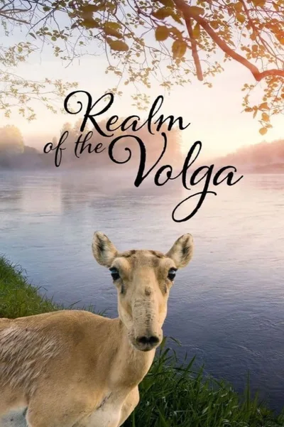 Volga: Mother of Rivers poster