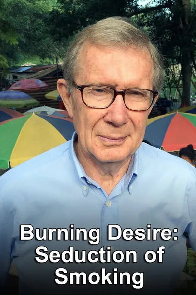 Burning Desire: The Seduction of Smoking poster