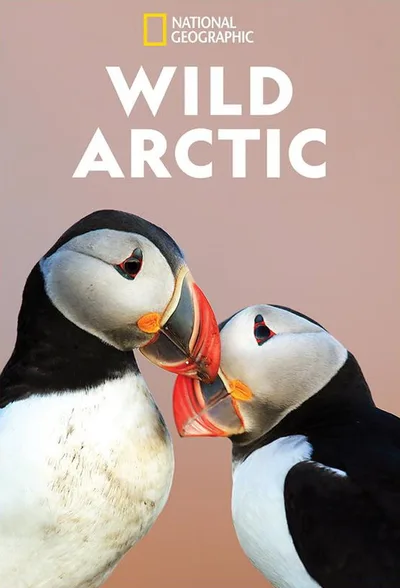 Destination Wild: Wild Arctic poster