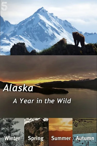 Alaska: A Year in the Wild poster