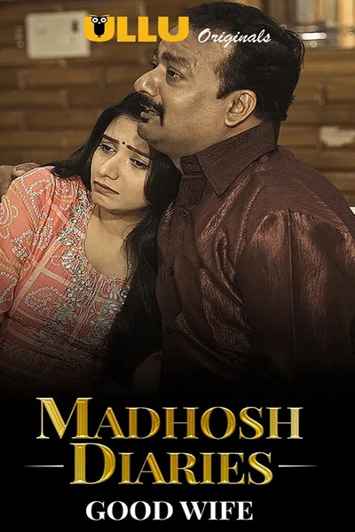 Madhosh Diaries - Good Wife poster