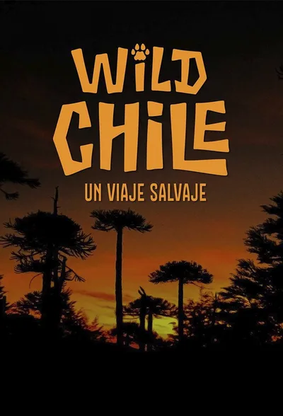 Wild Chile poster