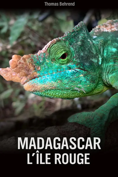 Unknown Madagascar poster