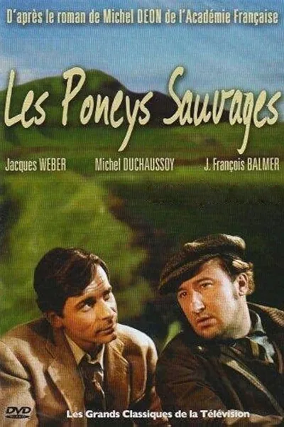 Les poneys sauvages poster