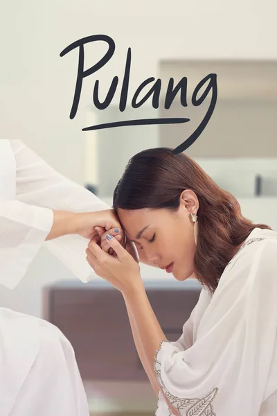 Pulang poster