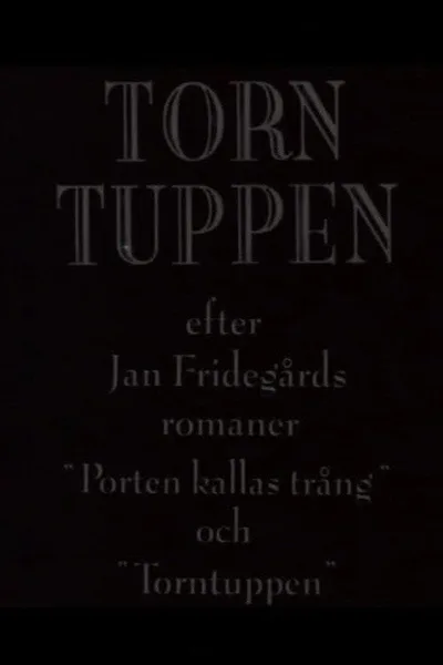 Torntuppen poster