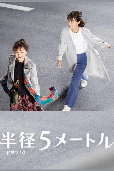 Hankei 5 Metoru poster
