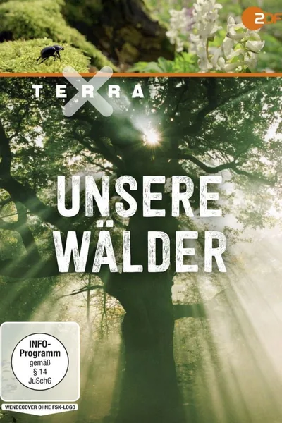 Unsere Wälder poster