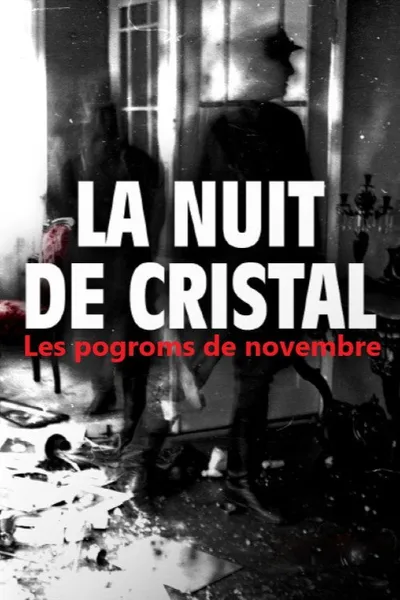 La nuit de cristal, les pogroms de novembre poster