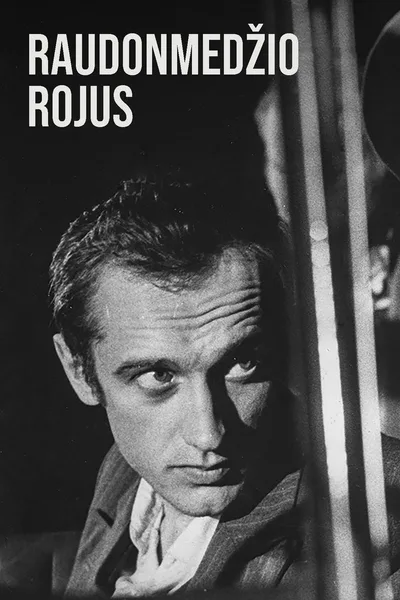 Raudonmedzio Rojus poster
