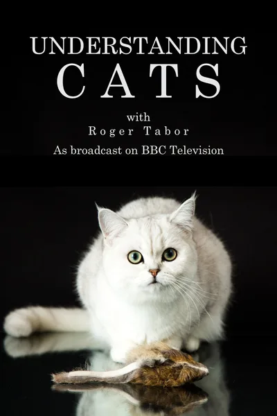 Understanding Cats poster