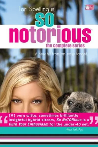 So Notorious poster