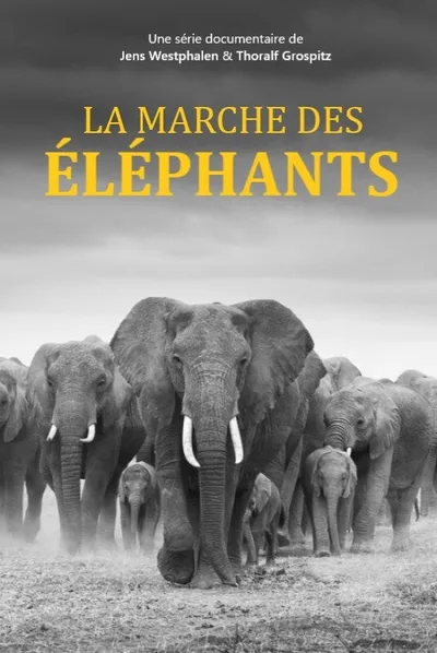 Elephants Up Close poster