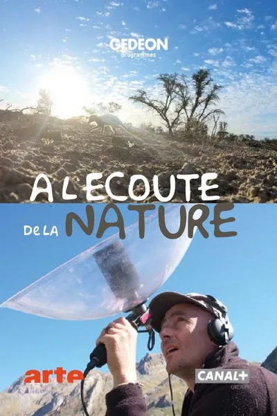 Sounds of Nature poster