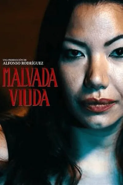 Malvada Viuda poster