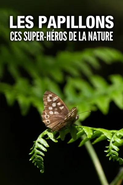 Butterflies: Superheroes of Nature poster
