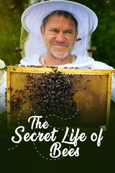 The Secret Life of Bees poster