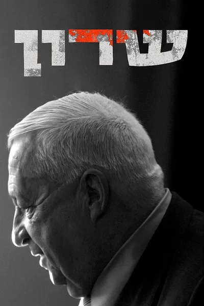 Sharon - The Leadership Years poster