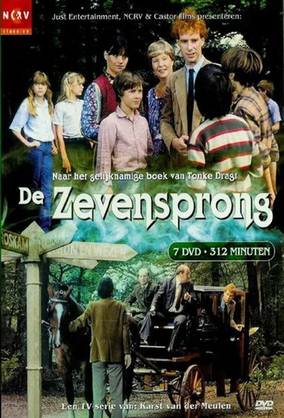 De zevensprong poster