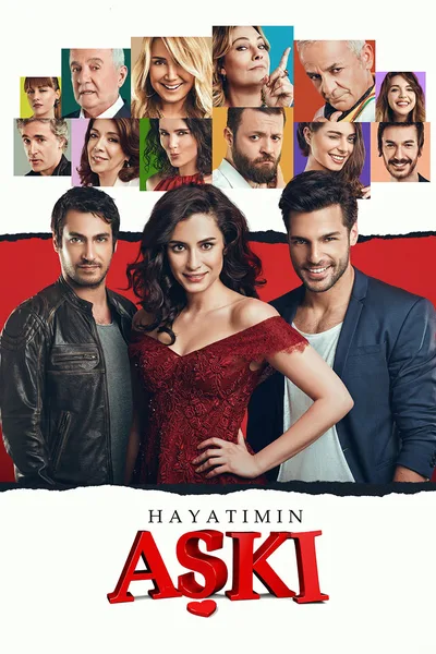 Love of My Life poster
