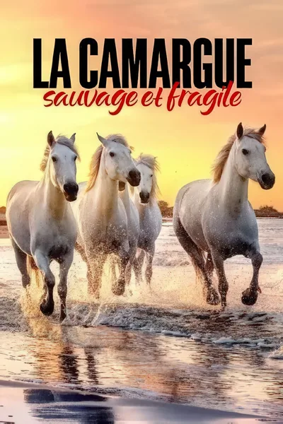 La Camargue, sauvage et fragile poster