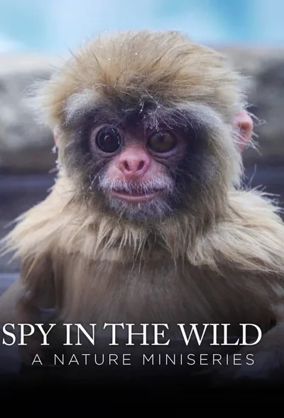 Spy in the Wild poster