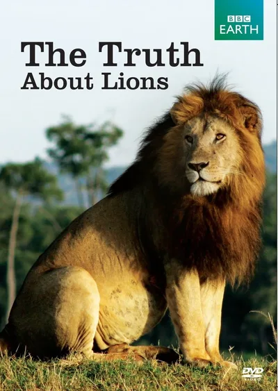 The Truth about Lions poster