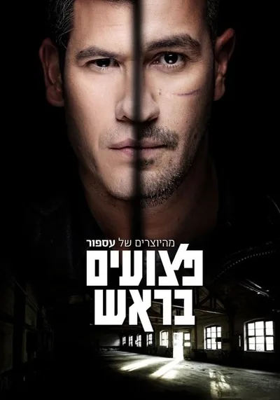 Scarred poster