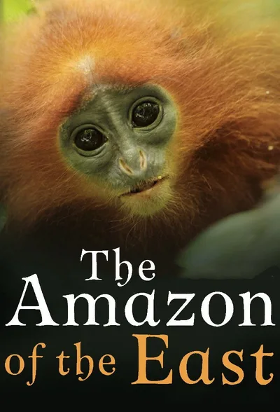 The Amazon of the East poster