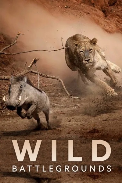 Wild Battlegrounds poster