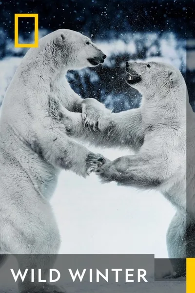 Wild Winter poster