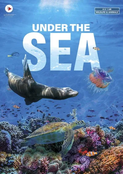Under the Sea poster
