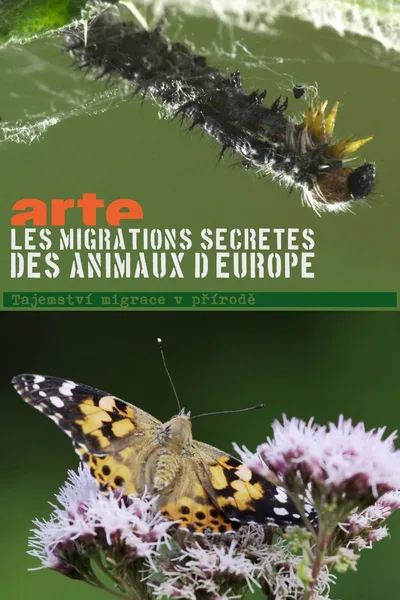 Secret Migrations poster