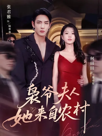 Xiao Ye Fu Ren Ta Lai Zi Nong Cun poster