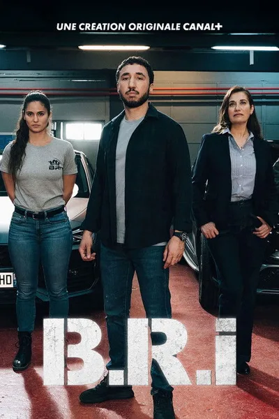 The Brigade poster
