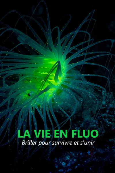 La vie en fluo poster