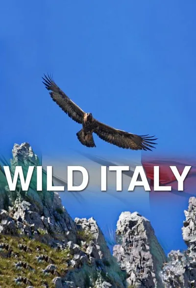 Wildes Italien poster