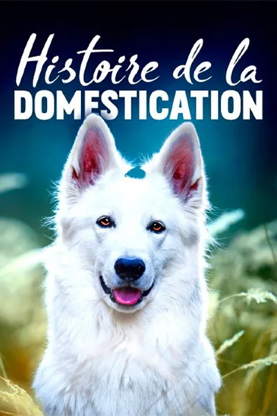 Die Geschichte von Mensch und Tier poster