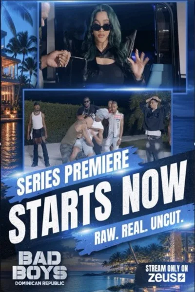 Bad Boys DR poster