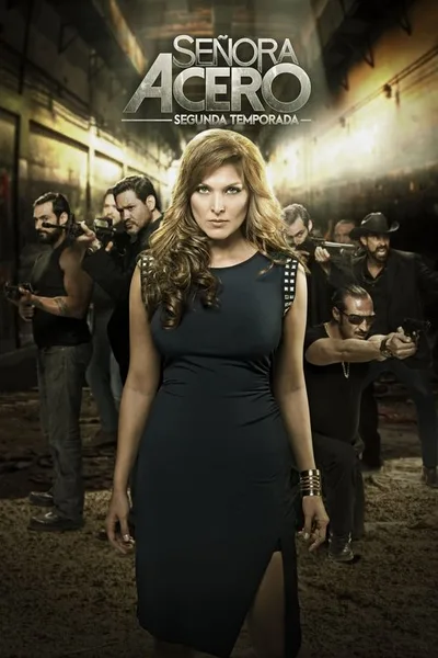 Lady of Steel poster