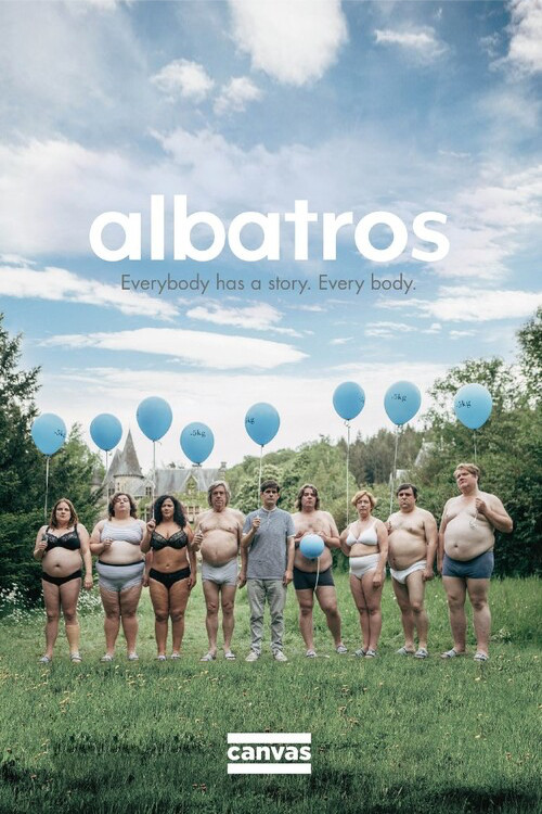 Albatros poster