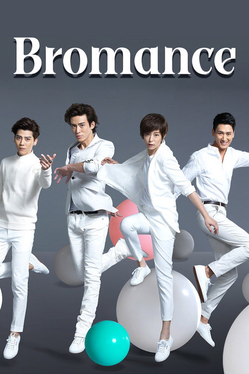 Bromance poster