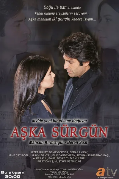 Love in Exile poster