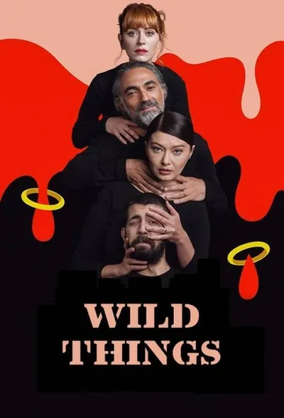 Vahsi Seyler poster
