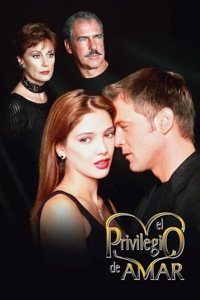 El privilegio de amar poster