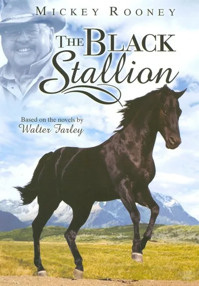 The New Adventures of the Black Stallion poster